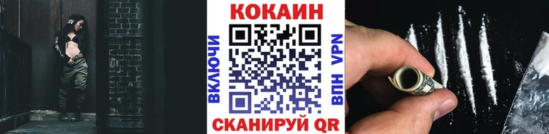 Cocaine Fish Scale  Купить закладки  Орехово-Зуево 