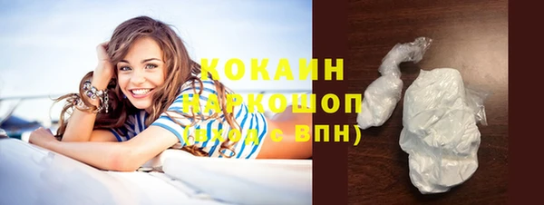 PSILOCYBIN Горно-Алтайск