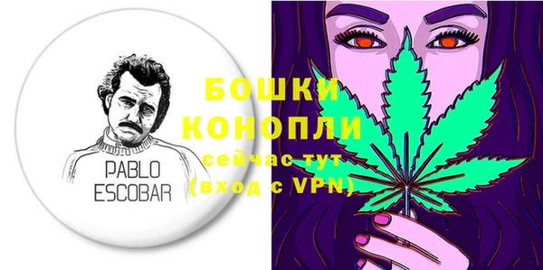 PSILOCYBIN Горно-Алтайск