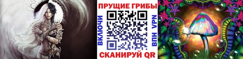Галлюциногенные грибы Cubensis Орехово-Зуево