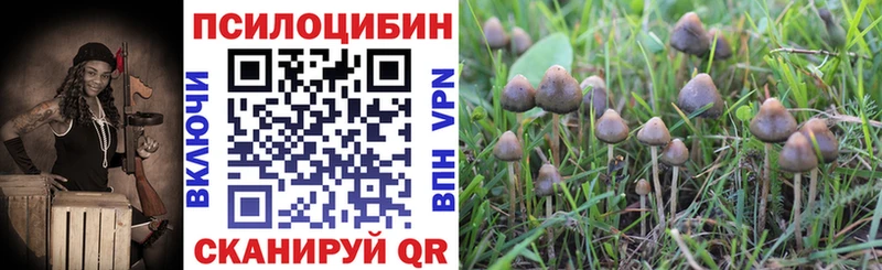 Купить  Орехово-Зуево  Галлюциногенные грибы MAGIC MUSHROOMS 